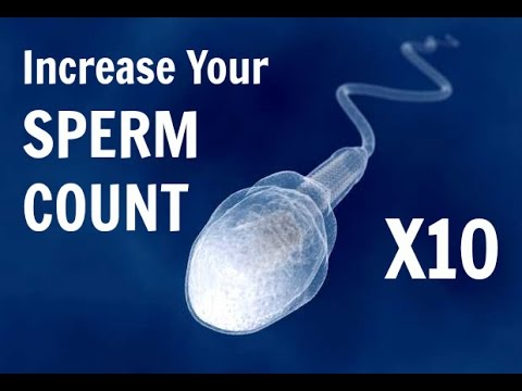 sperm health