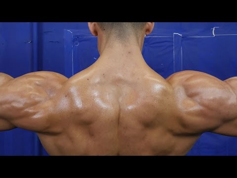 shoulder building exercises