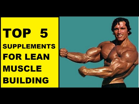 bodybuilding supplements