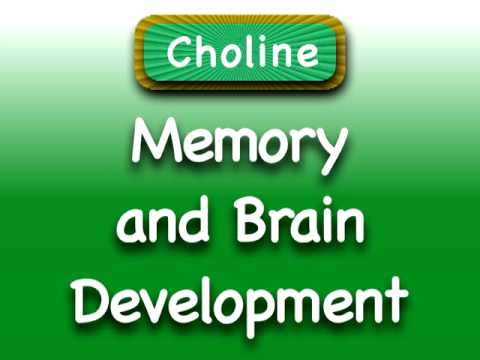 choline benefits