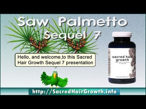 saw palmetto hair loss