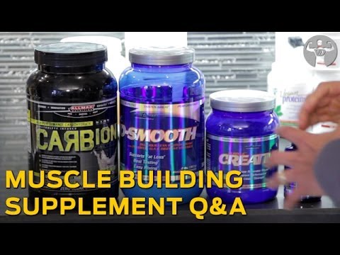 bodybuilding supplements