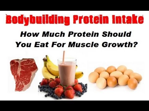 bodybuilding nutrition diet