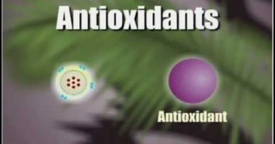 How Antioxidants Work