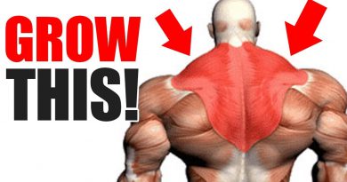 3 Best Exercises for BIG TRAPS!