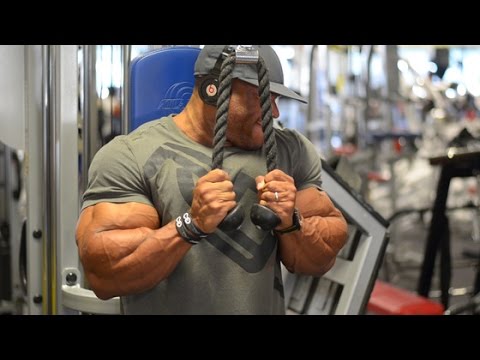 5x Mr Olympia Phil Heath Ultimate Arms/Biceps Workout