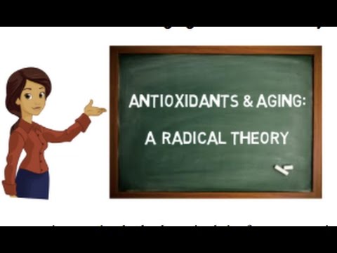 Antioxidants & Aging: A Radical Theory