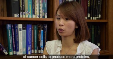 Novel drug therapy kills pancreatic cancer cells by reducing levels of antioxidants