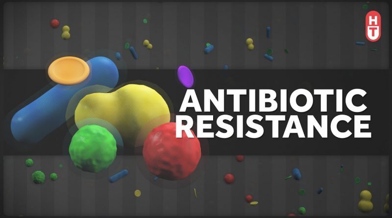 Antibiotic Resistance: What Can You Do?