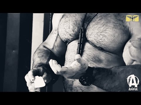BODYBUILDING MOTIVATION - LIONS and LAMBS