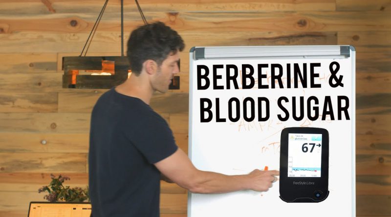 Berberine, Blood Sugar & Ketosis (data from glucose monitor)