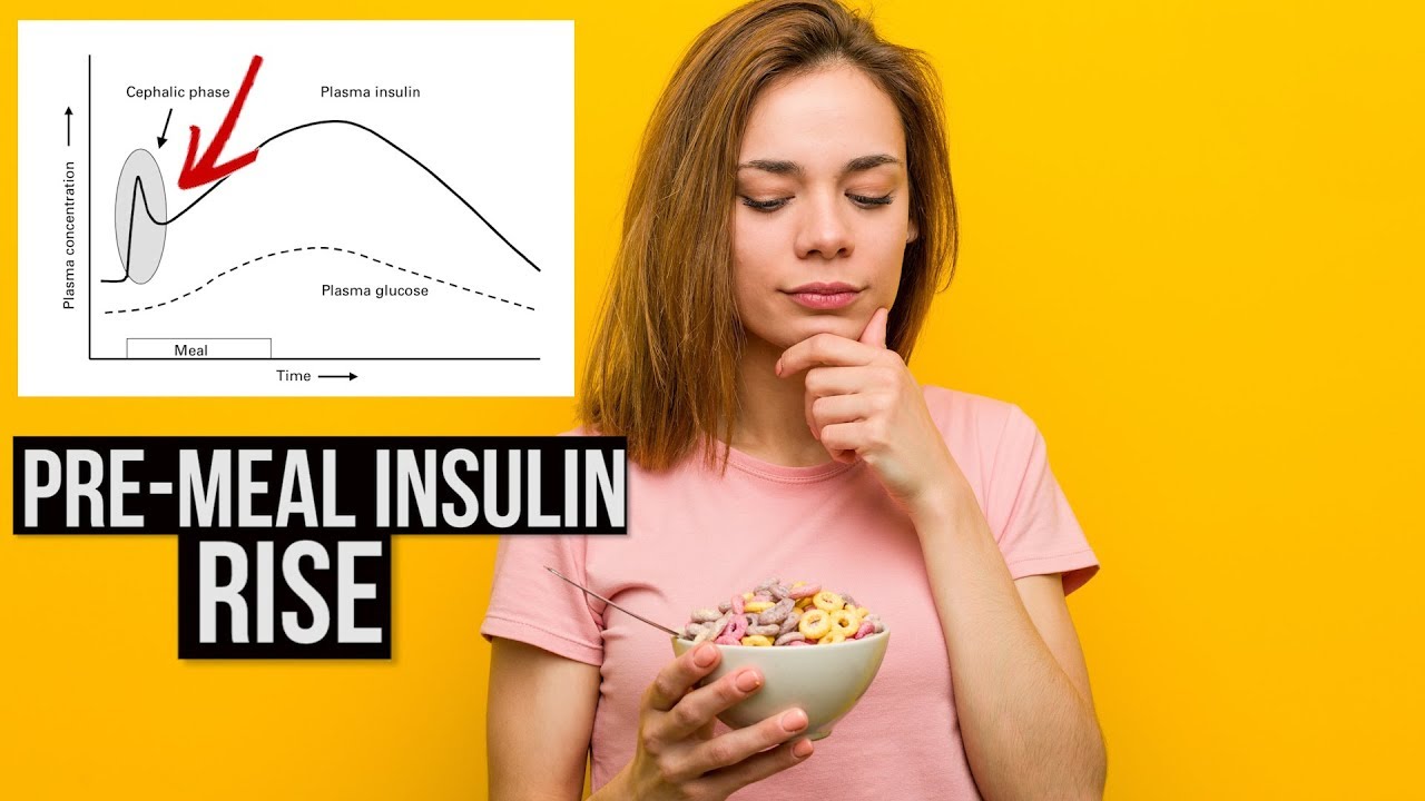 Carbs Not Only Road to Insulin Rise: pre-meal insulin release – Man ...