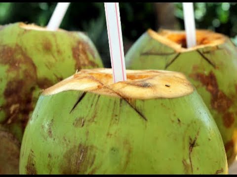 Drink Coconut Water Every Day To Balance Blood Sugar Levels, Burn Fat And Much More