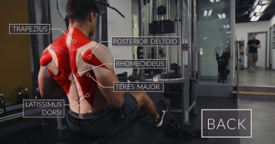 Exercise Anatomy: Back Workout  | Pietro Boselli