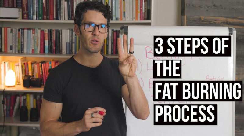 Fat Burning Beyond Just Calories Deficits | Part 3