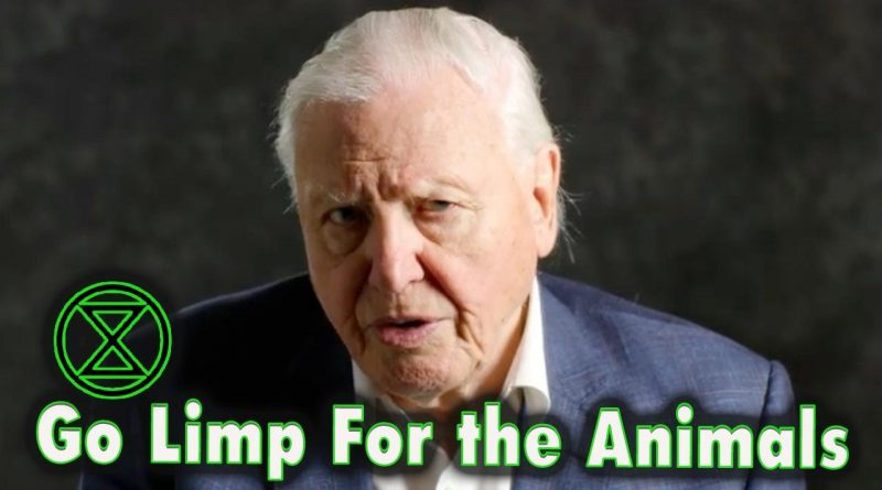 GO LIMP for the Animals, for the Planet | How + Why = Go Vegan