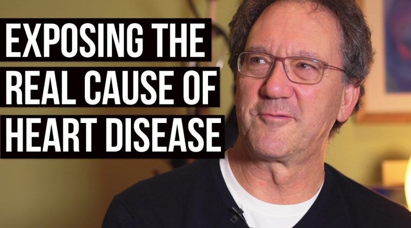 Heart Is Not a Pump: this Causes Cardiovascular Disease