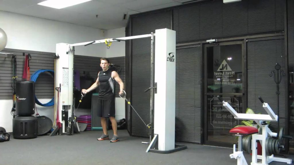 High Volume Training Bodybuilding Chest and Triceps Workout Routine