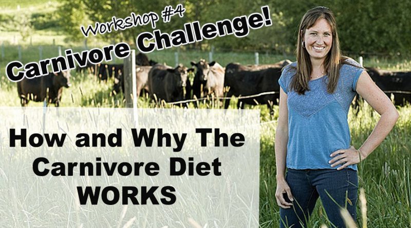 How Does the Carnivore Diet Work? (Carnivore Challenge Workshop #4)