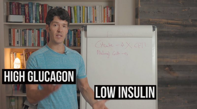 How Fat Burning Works: Beta Oxidation Explained