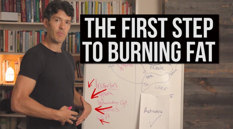 How to Burn Fat (the 1st step explained)