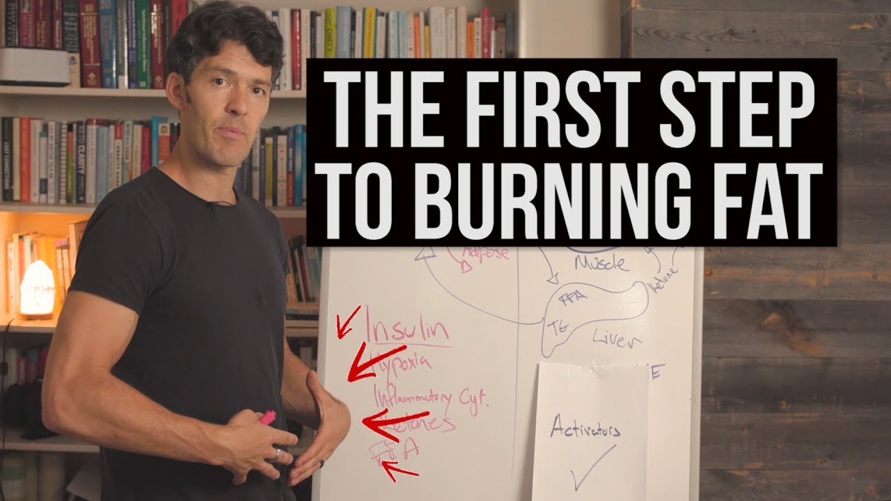 How to Burn Fat (the 1st step explained)