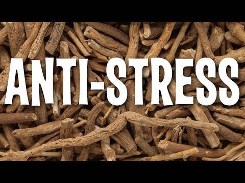 Powerful Adaptogenic Herb Formula for Stress