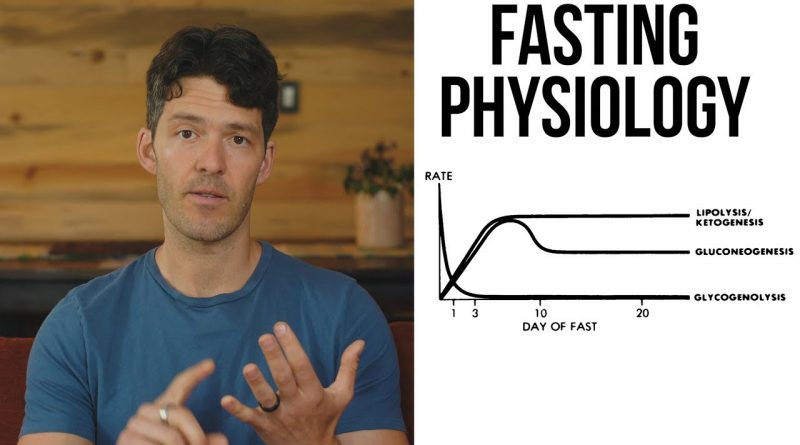 Prolonged Fasting Science & Insulin Resistance Post-Fast