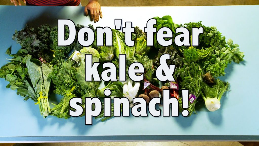 24 Leafy Greens You Can Put Into a Green Smoothie And Salad Man