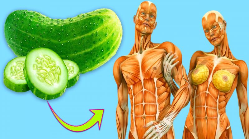 Amazing Health Benefits Of Eating A Cucumber Every Day For One Month