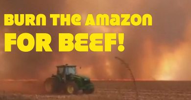 Amazon Set Ablaze By Cattle Farmers!