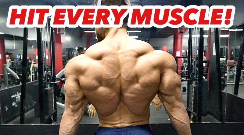 BEST BACK WORKOUT EVER! Maximum Results