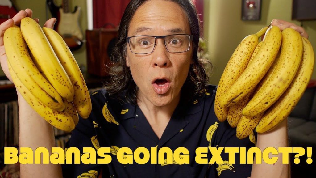 Bananas Going Extinct? GMO Bananas To Replace Them? ManHealth