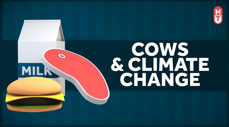 Beef Isn't Great for the Environment