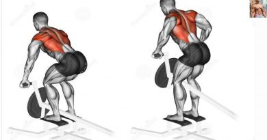 Bodybuilding Exercises/ Best Back workouts For Mass