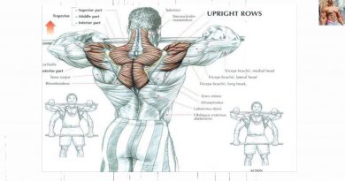 Bodybuilding Exercises/ Best Shoulder workouts For Mass