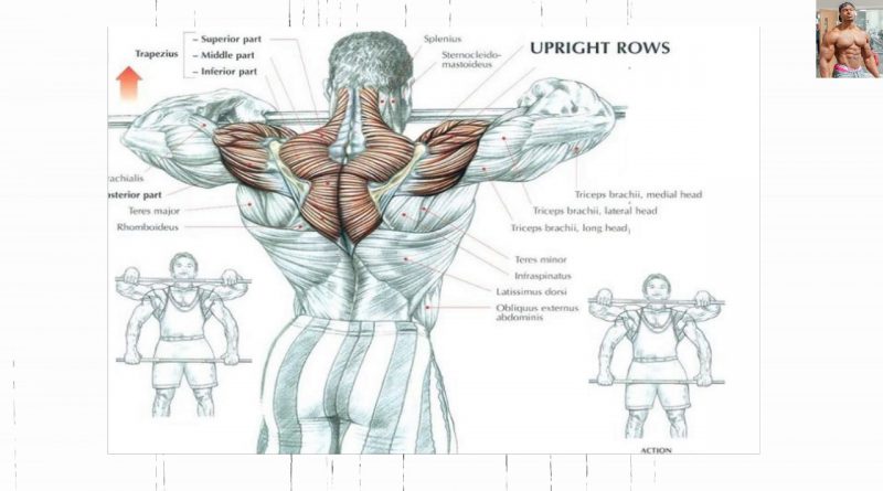 Bodybuilding Exercises/ Best Shoulder workouts For Mass