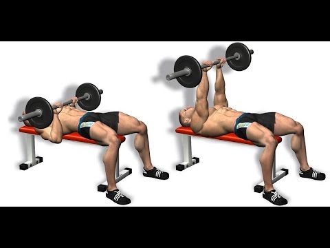 Bodybuilding Exercises for Beginners