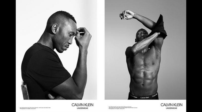 Calvin Klein - Boxer Shorts - Review - Mens Lifestyle