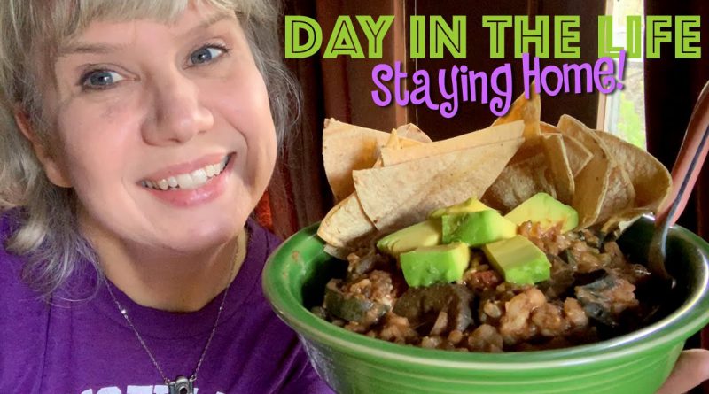 Crazy Animal Lady Vlog! WIAIAD + Squirrel, Possum, Raccoon & Cat Visitors