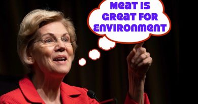 Elizabeth Warren: Don't Worry About Meat Causing Climate Change!