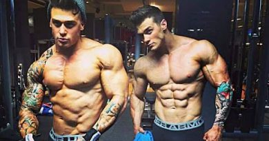 Harrison Twins - "Aesthetic Of Brothers" - Bodybuilding And Fitness Motivation 2016