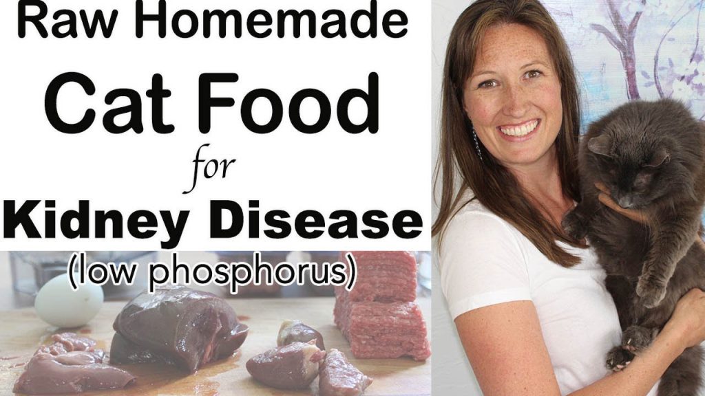 homemade-cat-food-for-kidney-disease-diet-raw-easy-inexpensive