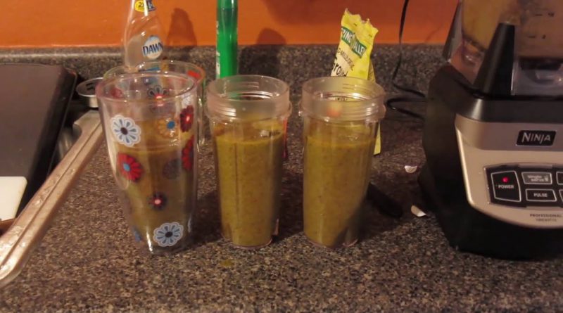 JJ Smith 10 Day Green Smoothie Cleanse | Day 1-2