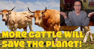 New Report: Vegan Destroys The Planet & Meat Is Crucial To Feeding The World. WTF?