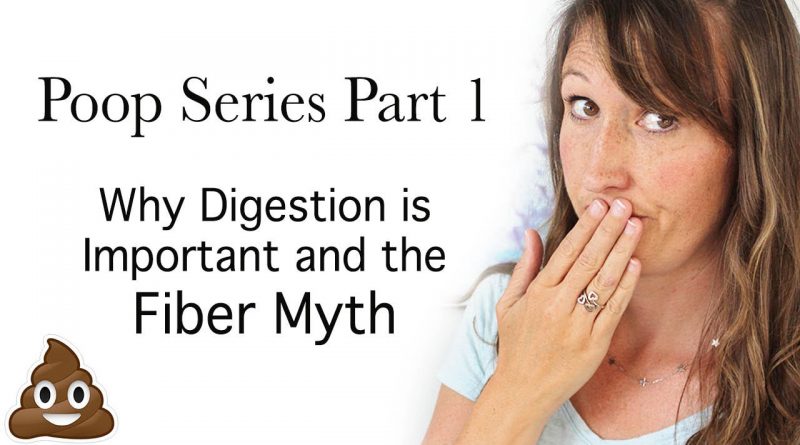 Poop on the Carnivore Diet 1:  What Is Good Digestion? + The Fiber Myth