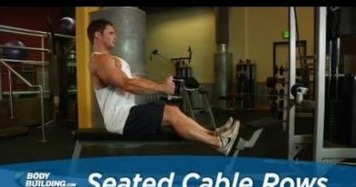 Seated Cable Rows - Back Exercise - Bodybuilding.com