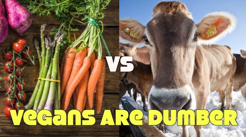 Study: Vegans Are Brain Deficient!? Meat Biz BS Exposed!