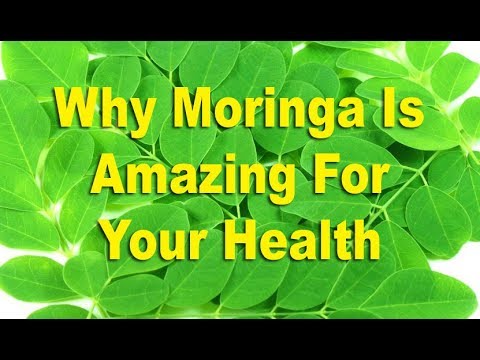 Top 20 Reasons Why Moringa Is Amazing For Your Health