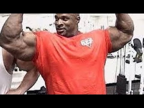 Training And Bodybuilding Life Of A Bodybuilder Documentary 2017